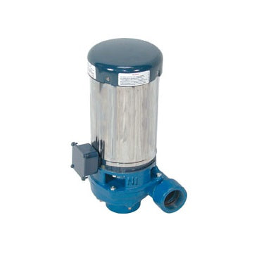 Berkeley booster pump